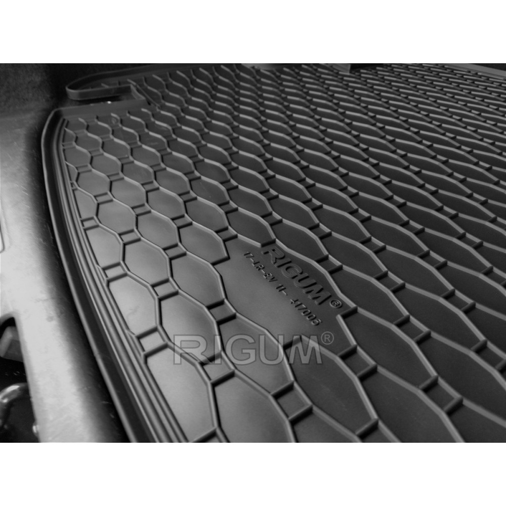 Car rubber trunk mat LAND ROVER RANGE ROVER EVOQUE  (2011-...) RIGUM RKK