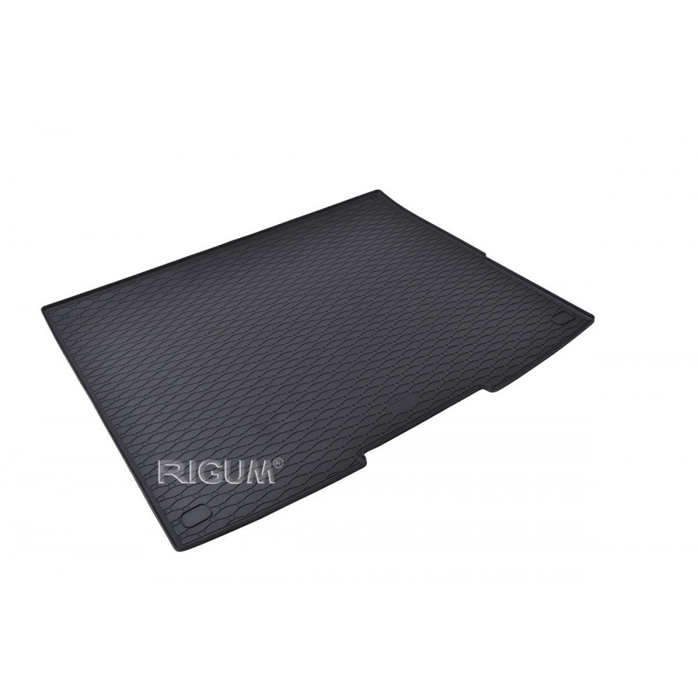 KUMMIST PAGASIRUUMI MATT FORD TRANSIT CUSTOM L2 (2024-...) RIGUM RKK