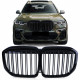 Front grills BMW X7 G07 Double Stripe Black Gloss (2018-...) 40818