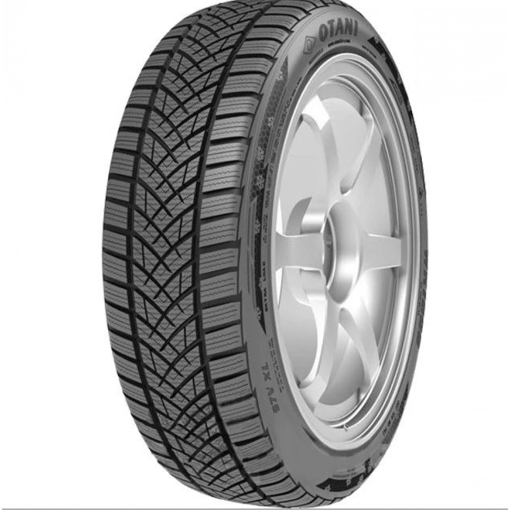 Ziemas riepas 225/65 R17 OTANI WK1000