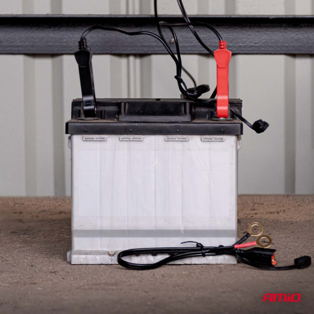 Car battery charger AGM GEL STD LFP MAX 4A 6V/12V PRO HOOK AMIO 04531