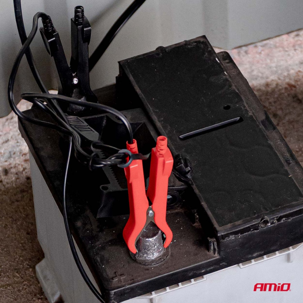 Car battery charger AGM GEL STD LFP MAX 4A 6V/12V PRO HOOK AMIO 04531