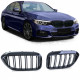 Front grills BMW 5 G30/G31 Double Stripe Piano Black (2017-2021) 34237