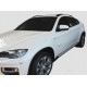 Автомобильные пороги BMW X6 E71 (2007-2014) RB022AL