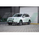 Автомобильные пороги SUBARU FORESTER (2013-...) NS001