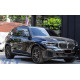 Автомобильные пороги BMW X5 G05 (2018-...) RBBM08